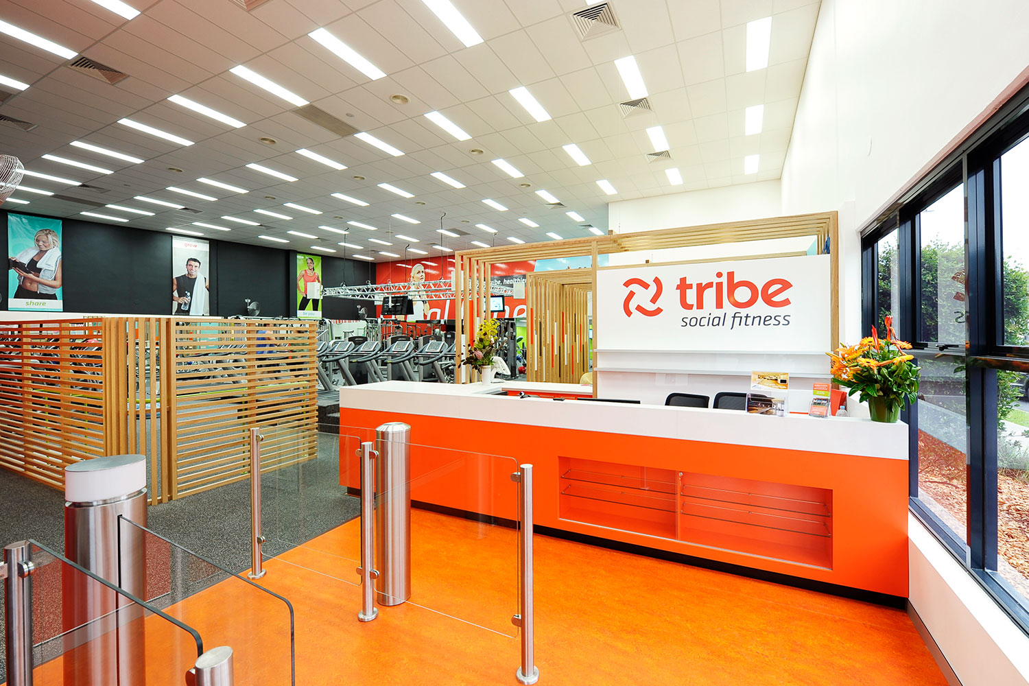 Tribe Social Fitness